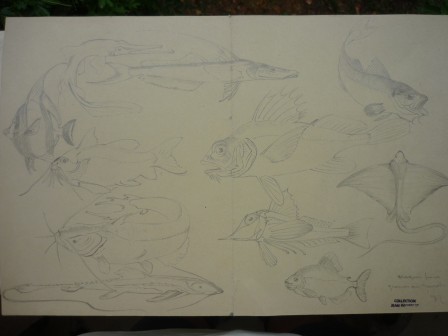 J560Poissons.JPG